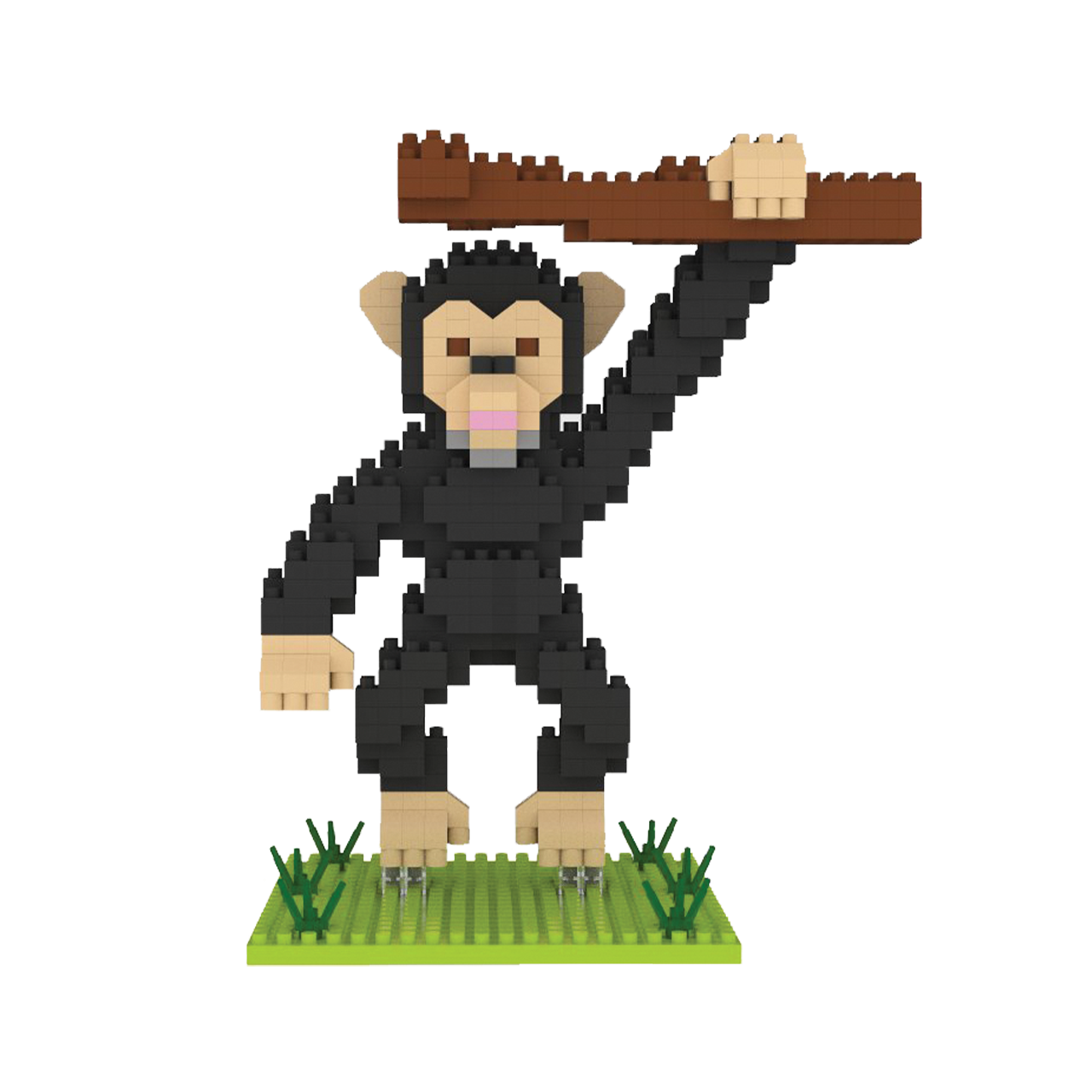 Chimpanzee