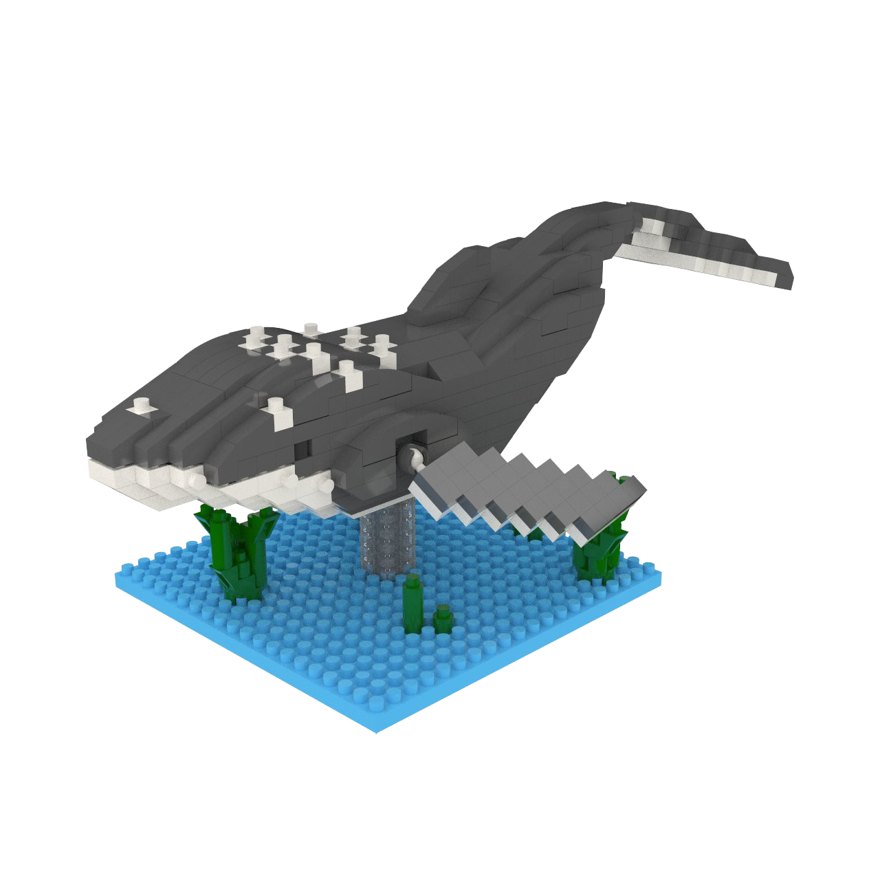 Humpback Whale