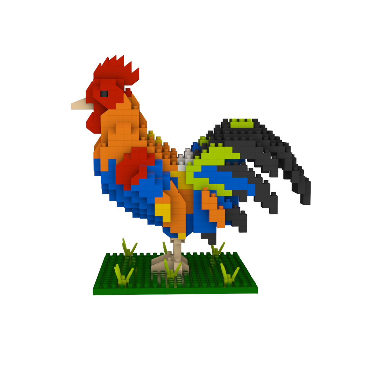 Florida Rooster