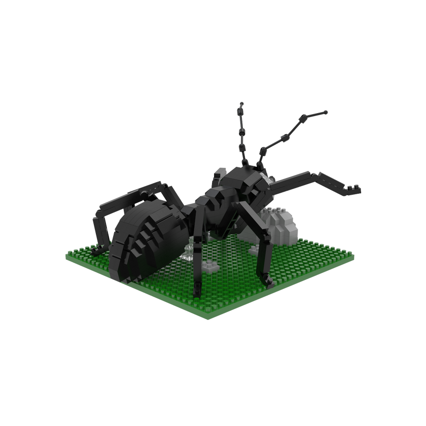 Mega Block Insect Build Insects – The Mini Block