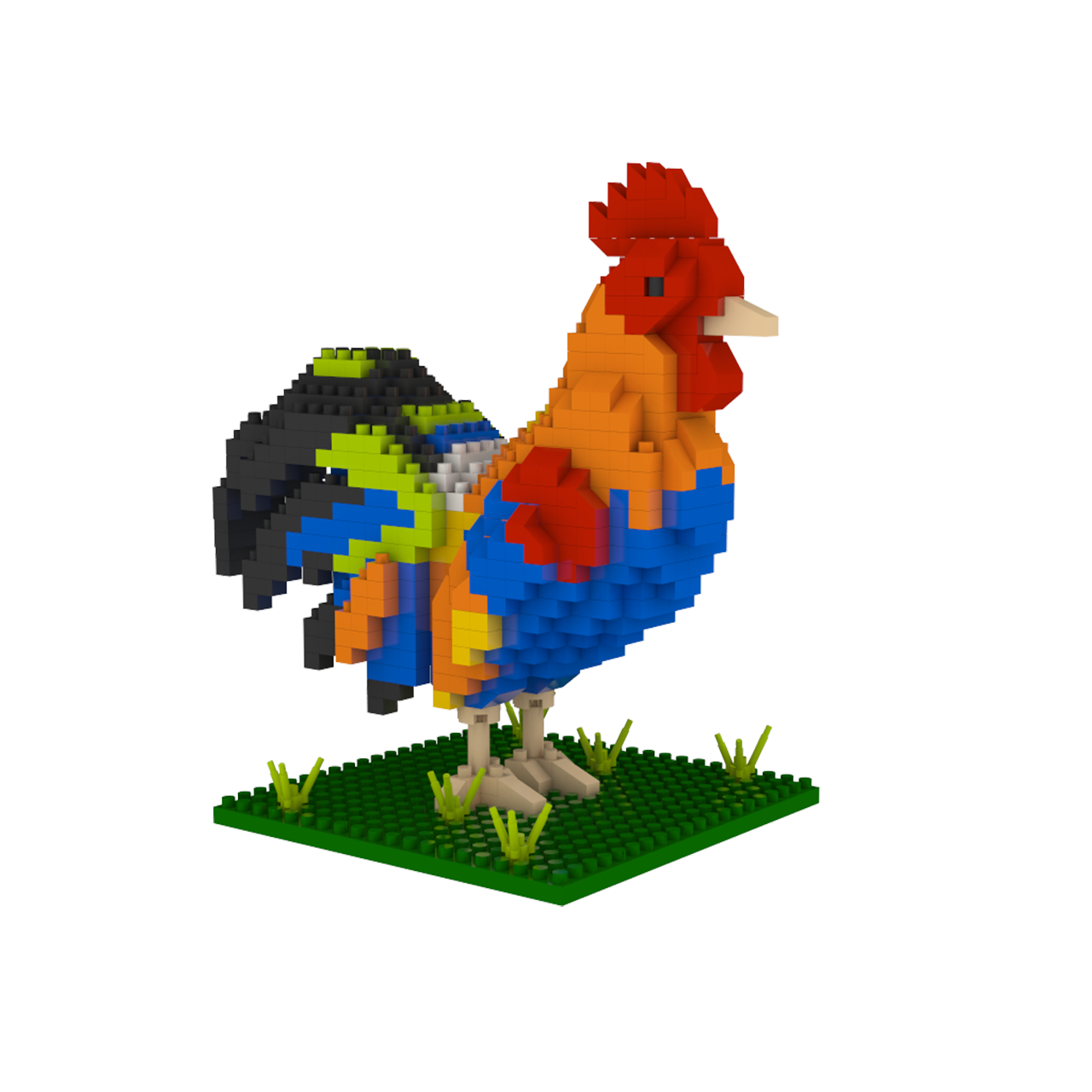 Florida Rooster