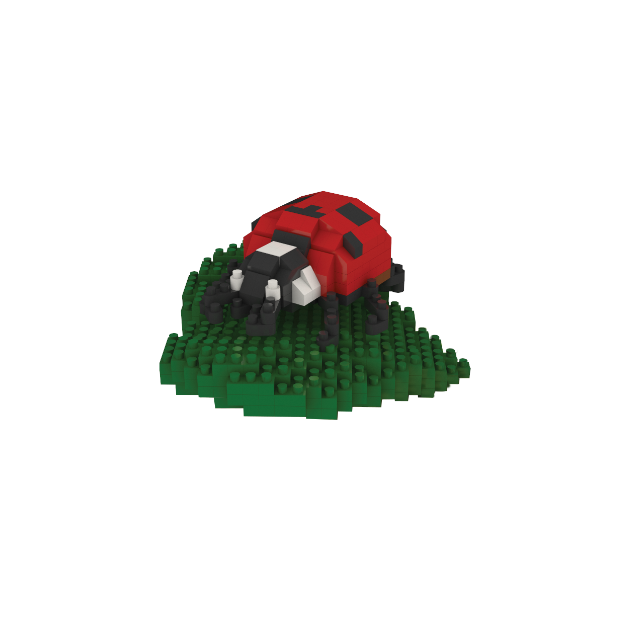 Ladybug