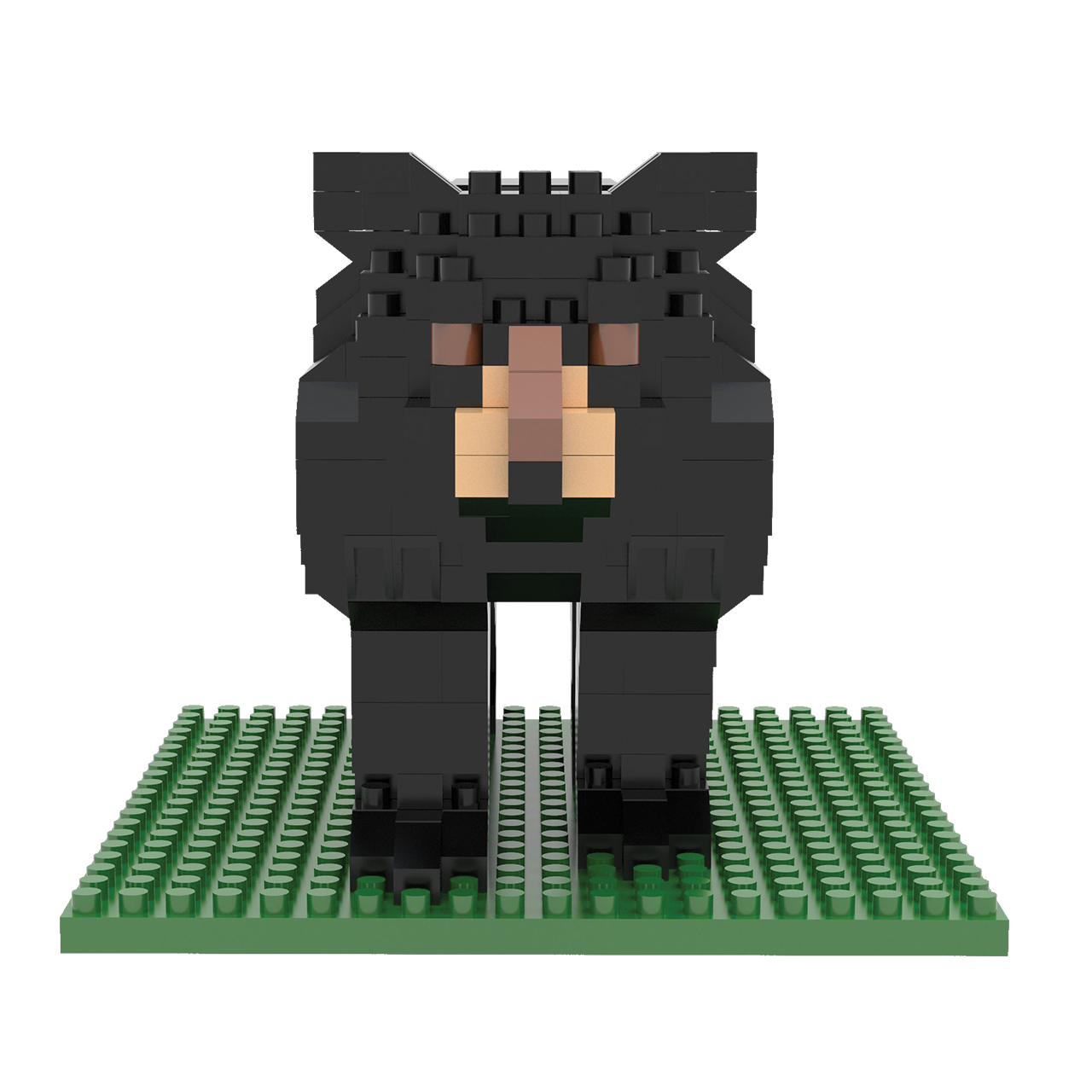 Black Bear