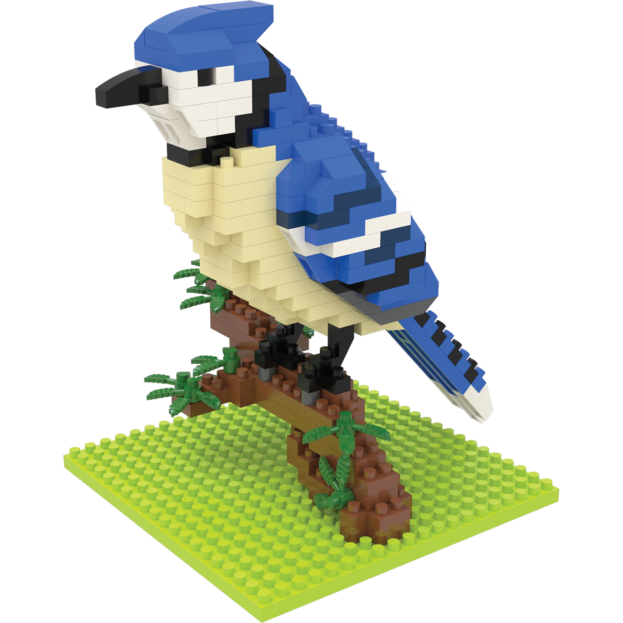 Blue Jay