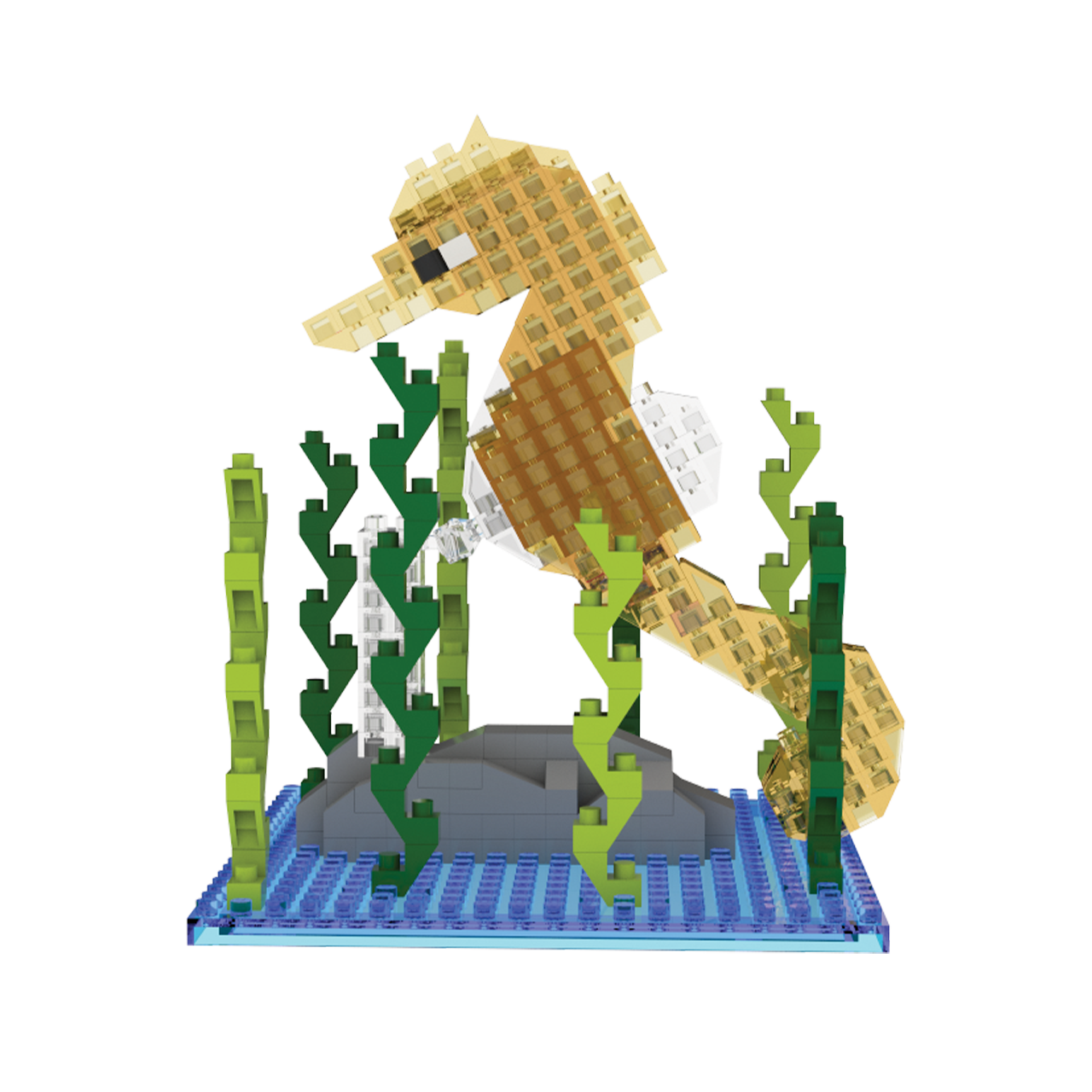 Seahorse