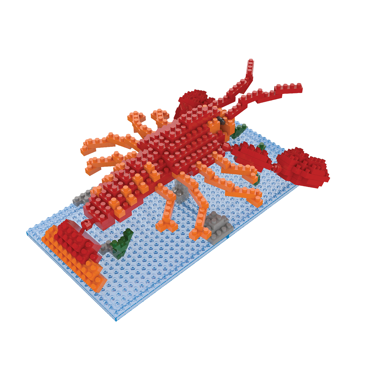 Lobster