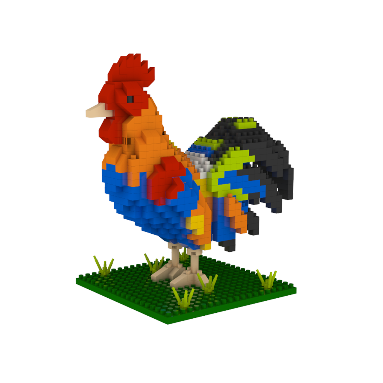 Florida Rooster