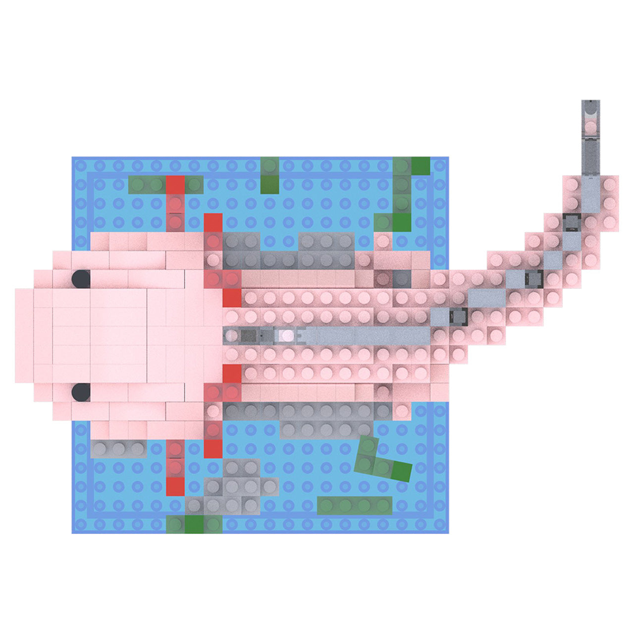 Axolotl