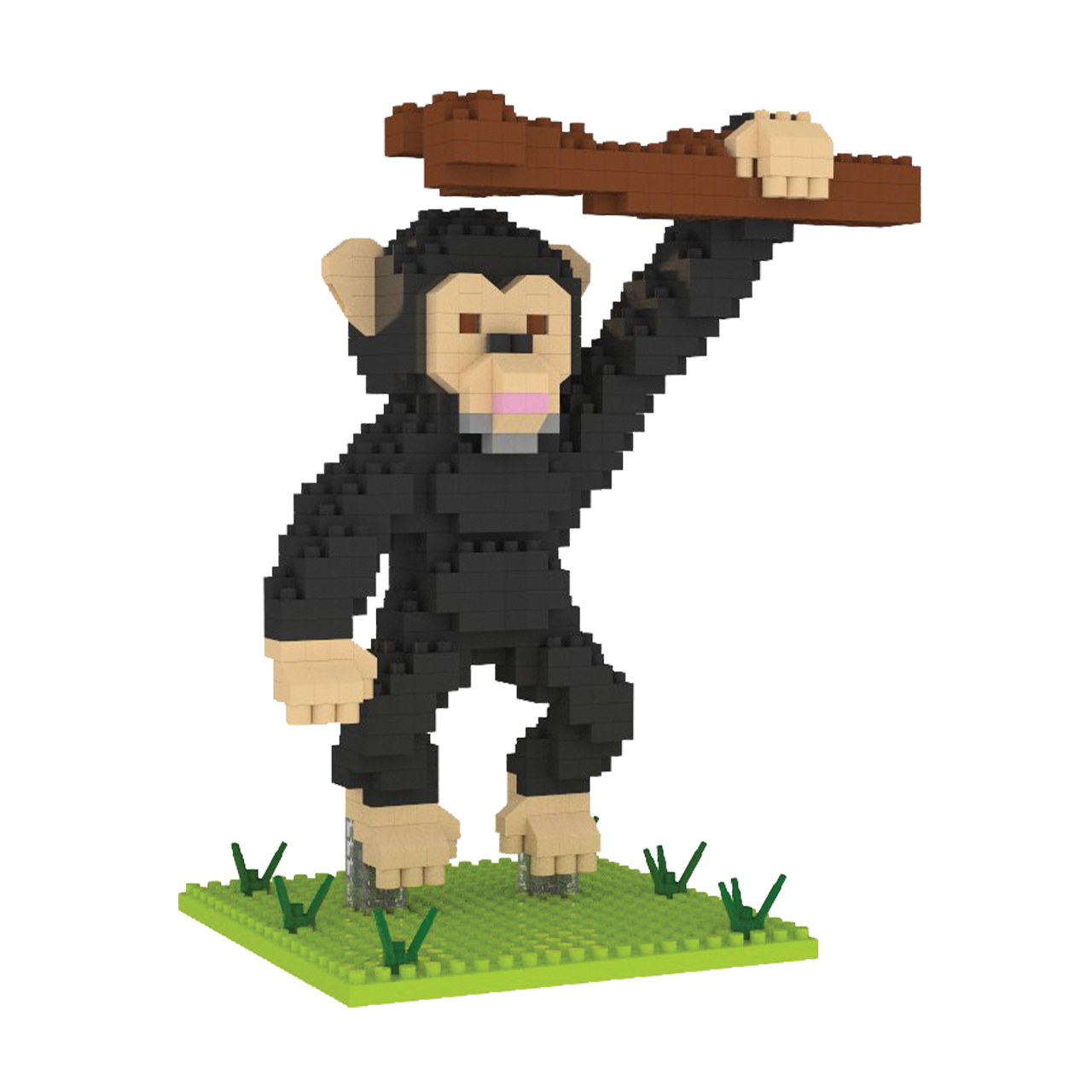 Chimpanzee