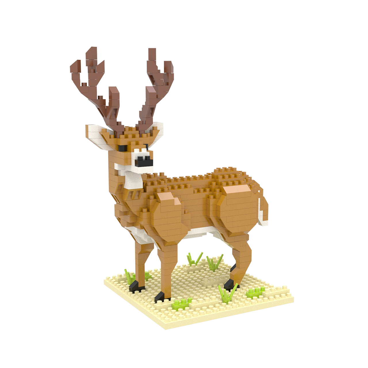 White-Tailed Buck