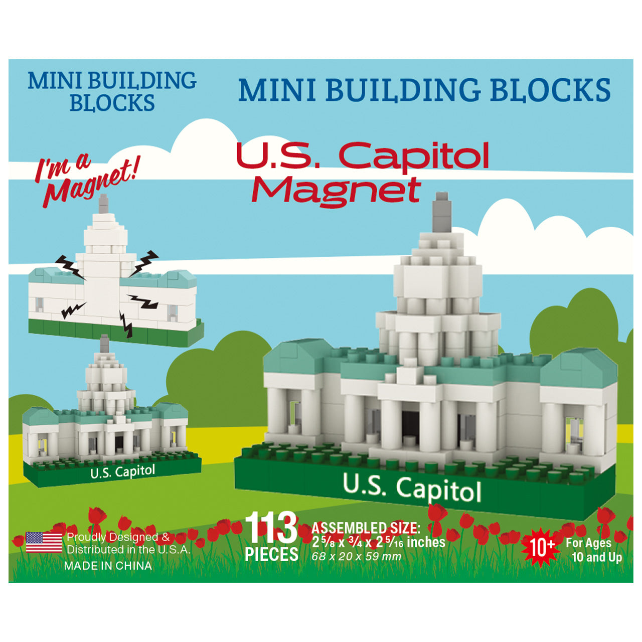 US Capitol Magnet