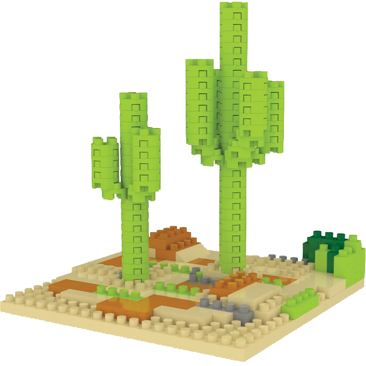 Sonoran Desert - Saguaro Cactus