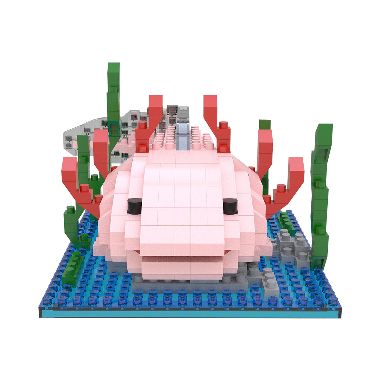 Axolotl