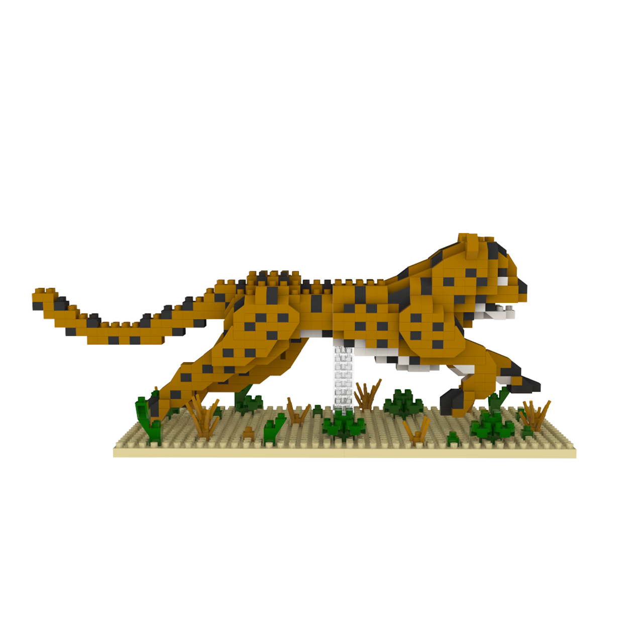 Cheetah