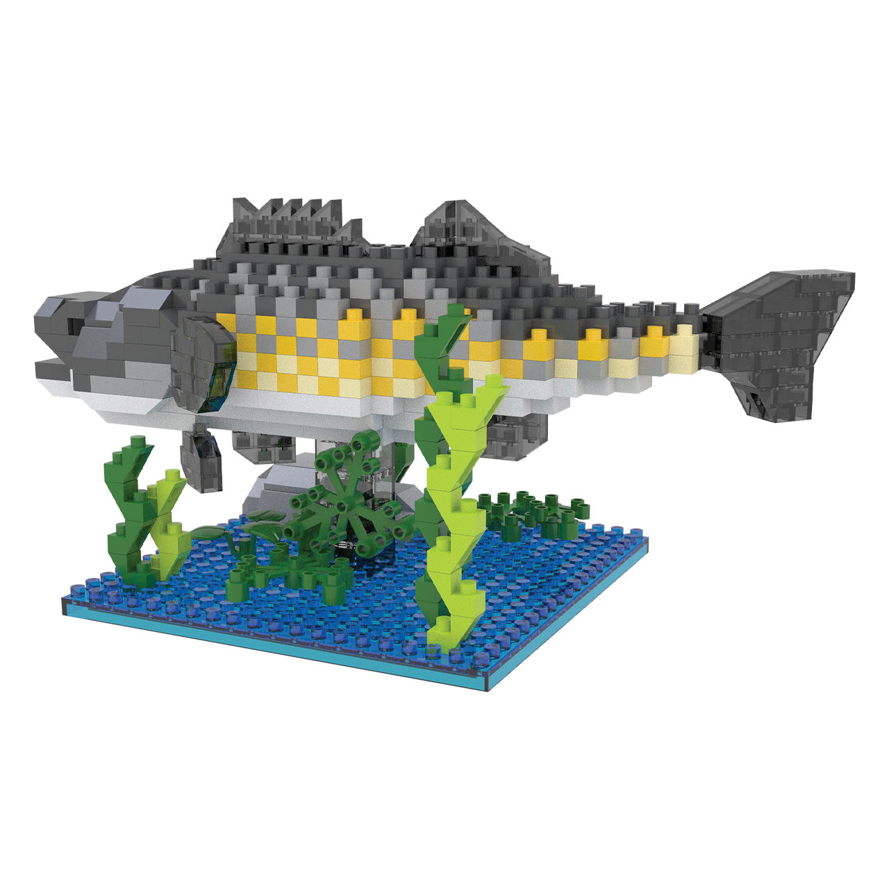 Walleye