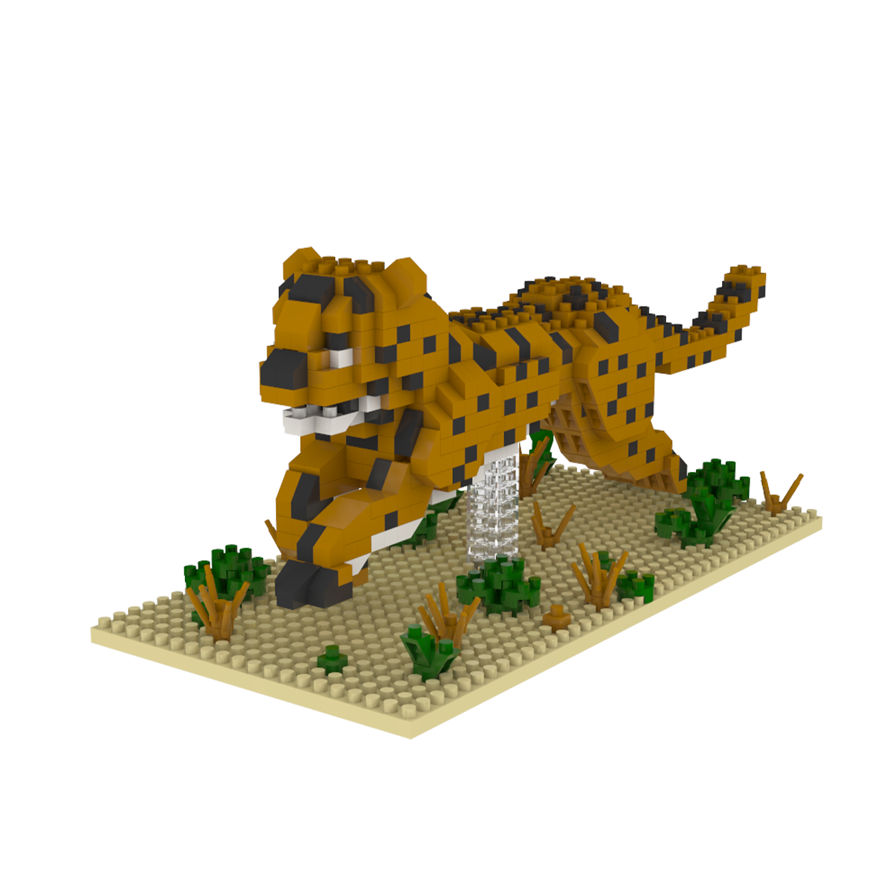 Cheetah